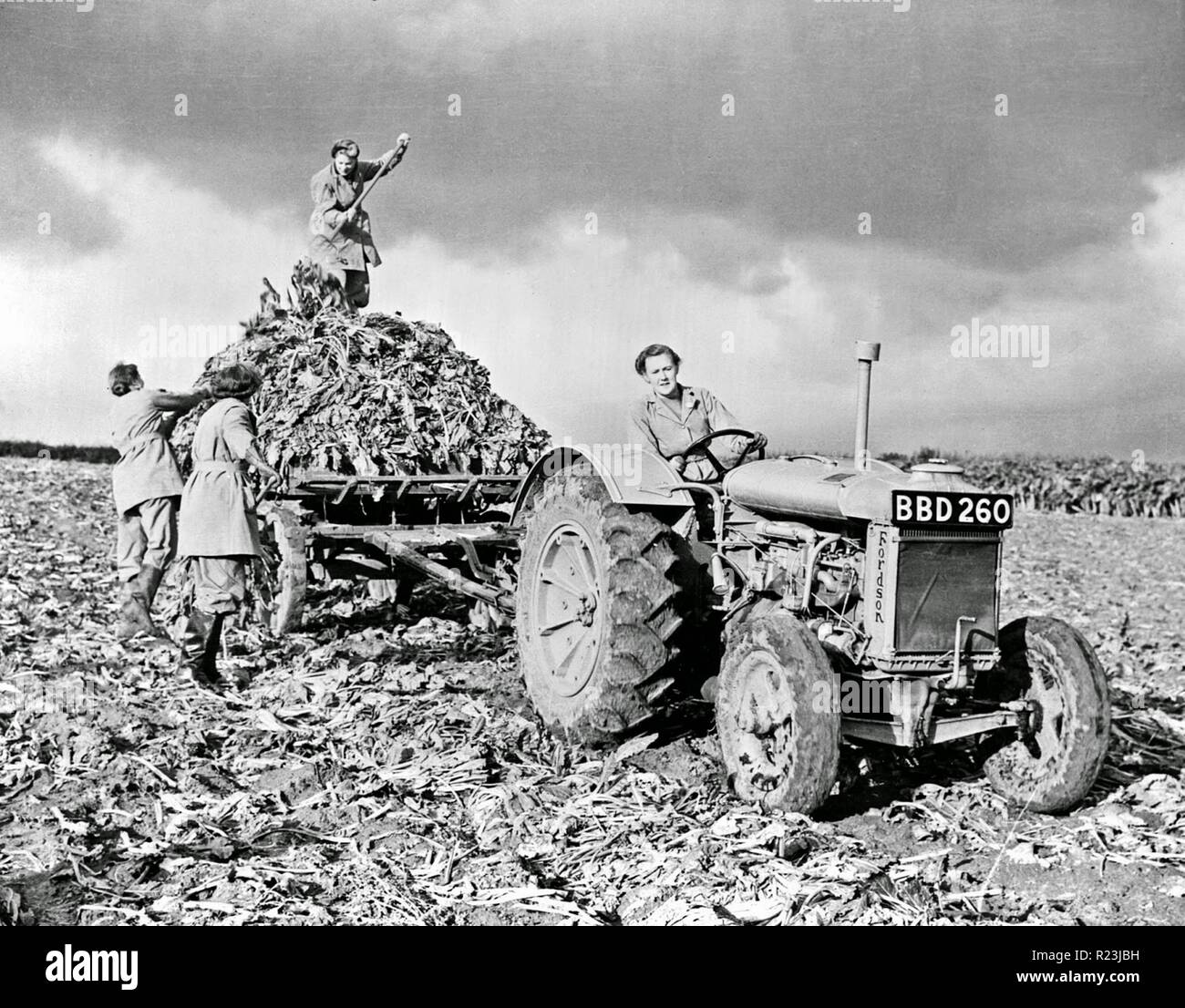 Fordson tractor with members of the British Women's Land Army, doing