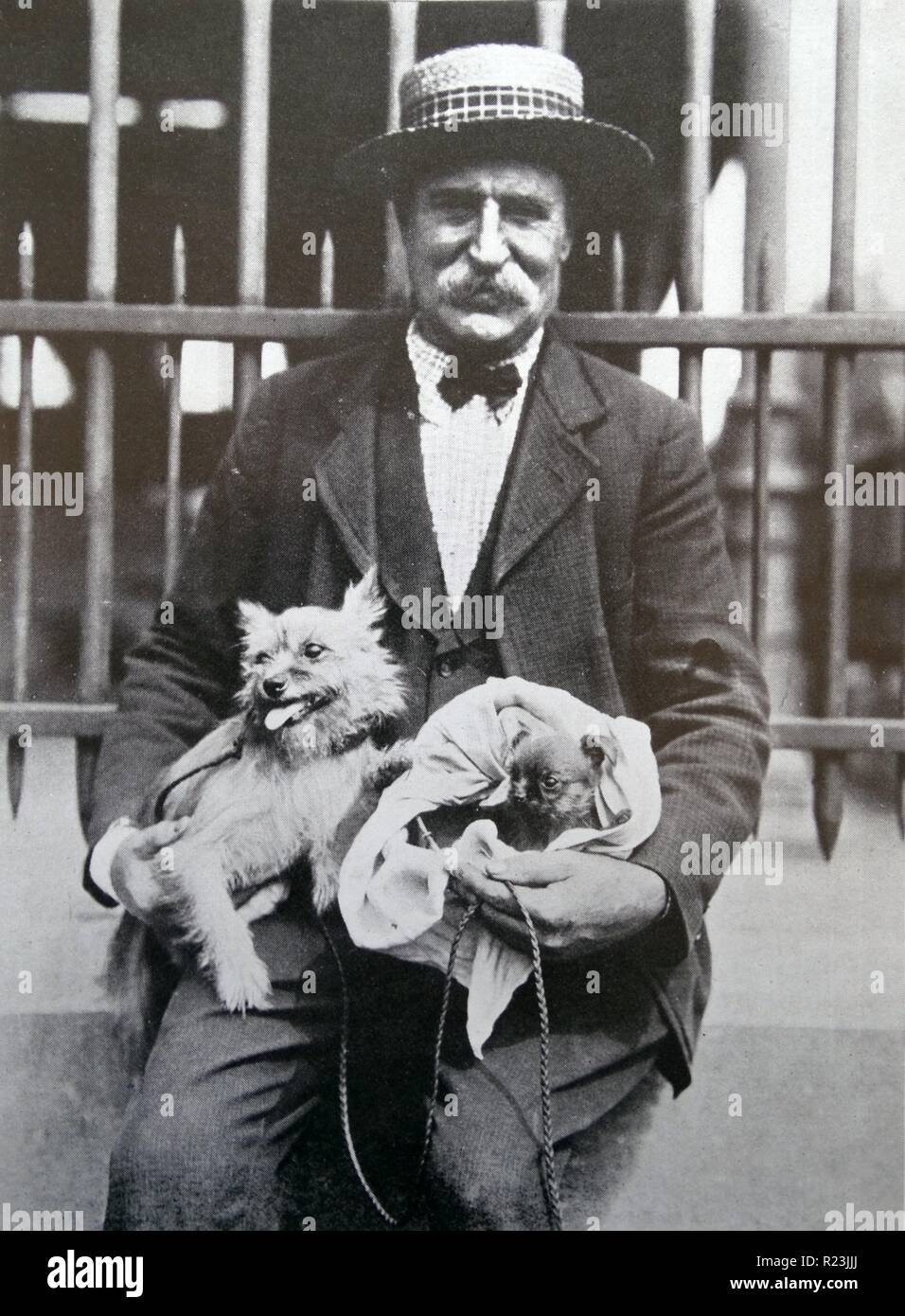 Man with dogs, Belgium 1910 Stock Photo