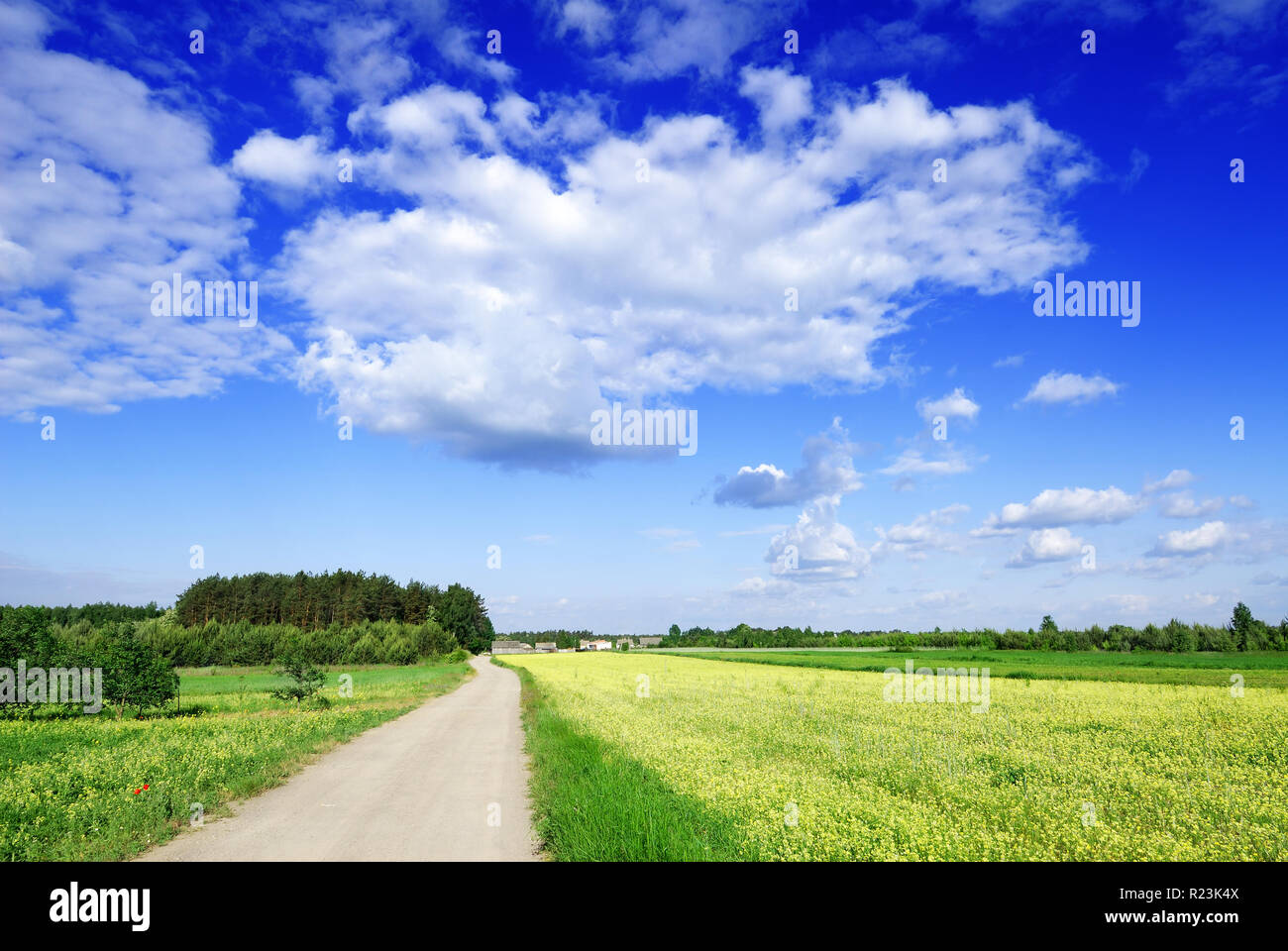 Idyllic view, rural path among green fields, blue sky and white clouds in  the background Stock Photo - Alamy