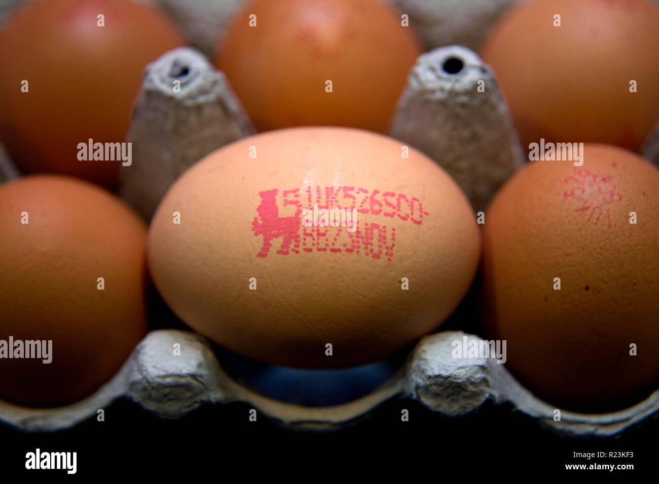 Egg stamped with British Lion mark guaranteeing quality Stock Photo