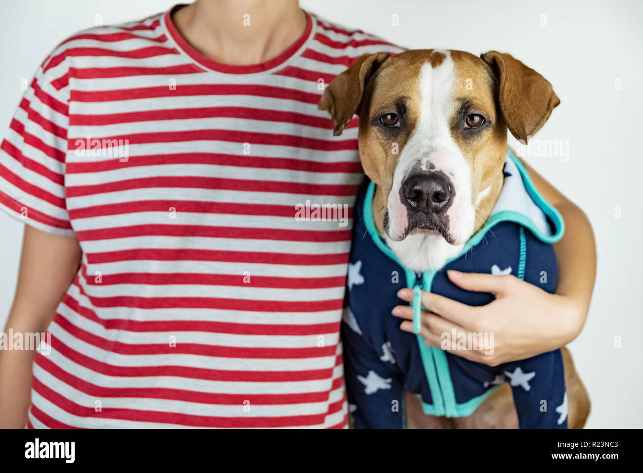 Person and dog in stars and stripes costumes. Patriotic concept: woman and puppy dressed in symbolic clothes of US flag Stock Photo