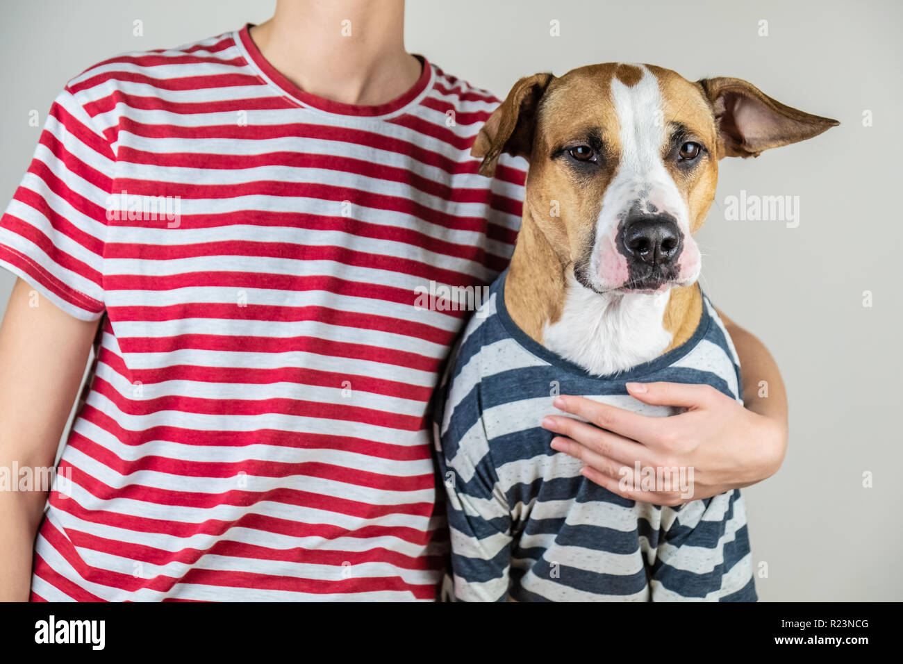 Funny dog and owner in similar clothes. Staffordshire terrier and human dressed in same t-shirts in studio background Stock Photo