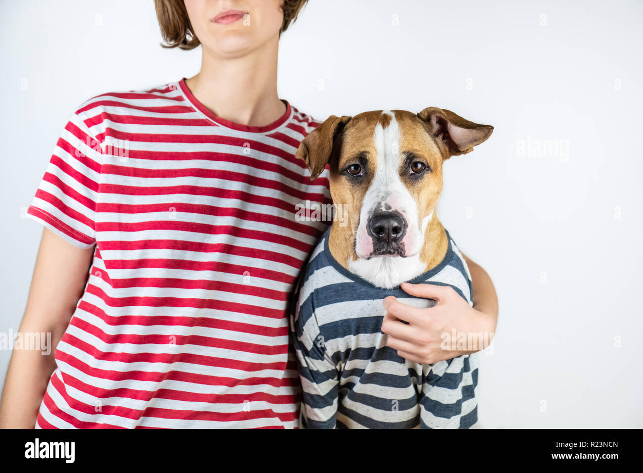 Dog and owner in similar clothes. Staffordshire terrier and human dressed in same t-shirts in studio background Stock Photo