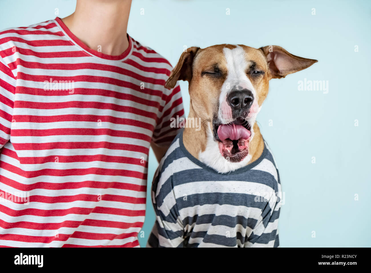 Funny yawning dog and owner in similar clothes. Sleepy morning idea: puppy and human in same t-shirts in studio background Stock Photo