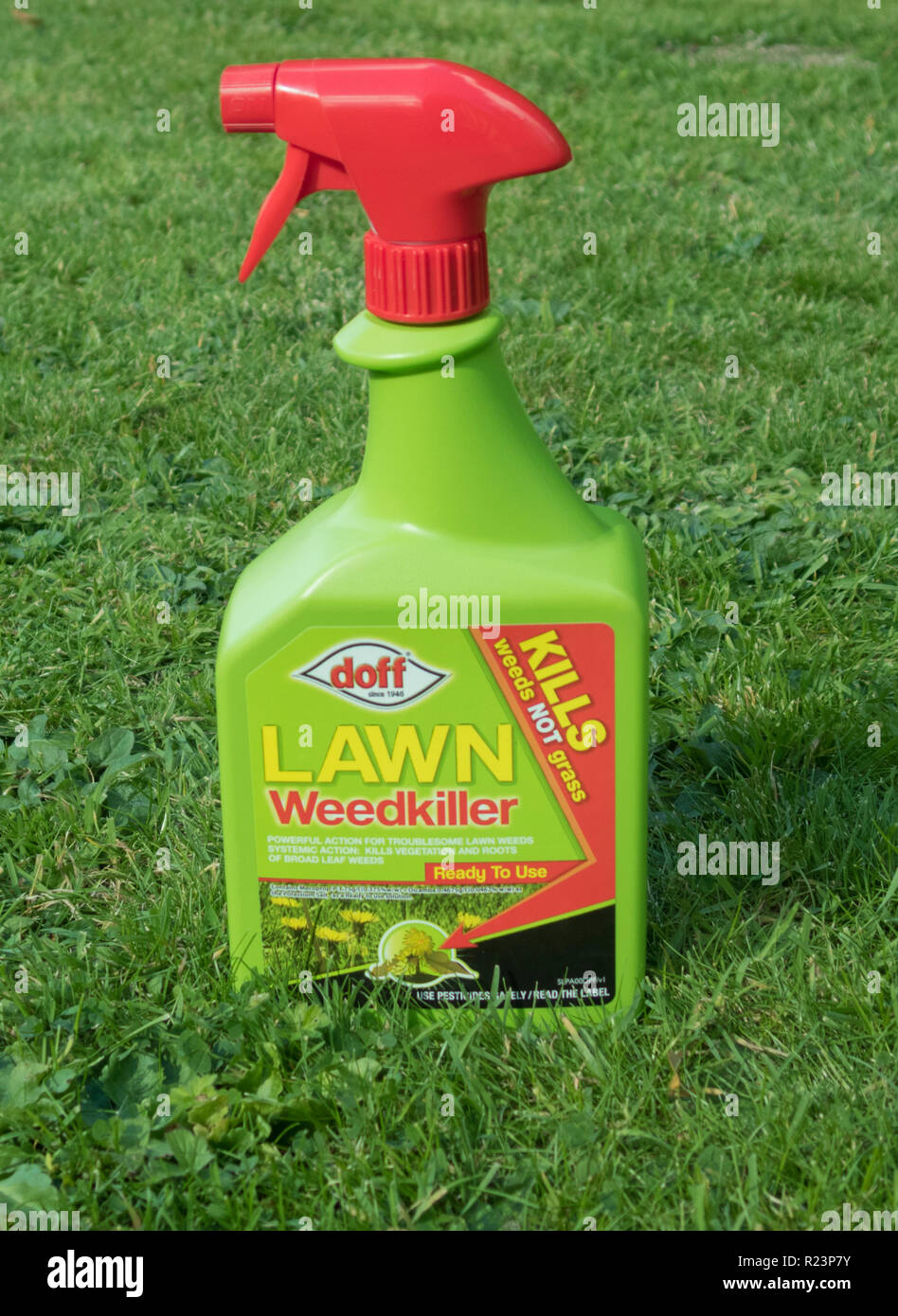 spray bottle of doff brand lawn weedkiller for killing weeds in lawns uk R23P7Y