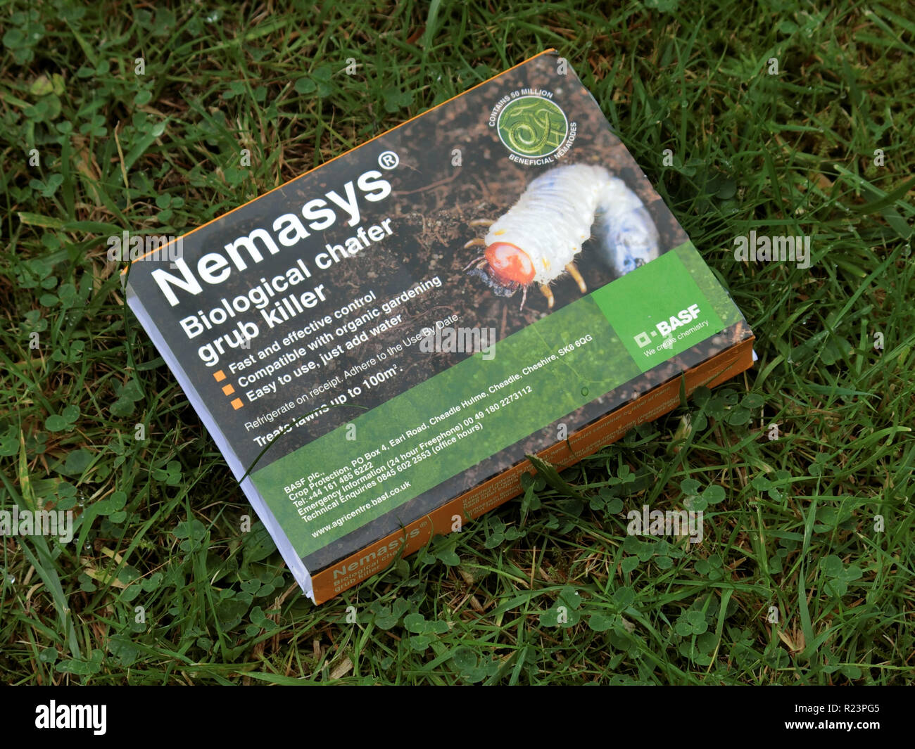 Nemasys Nematode Biological Control of Chafer Grubs in Lawns, UK Stock Photo