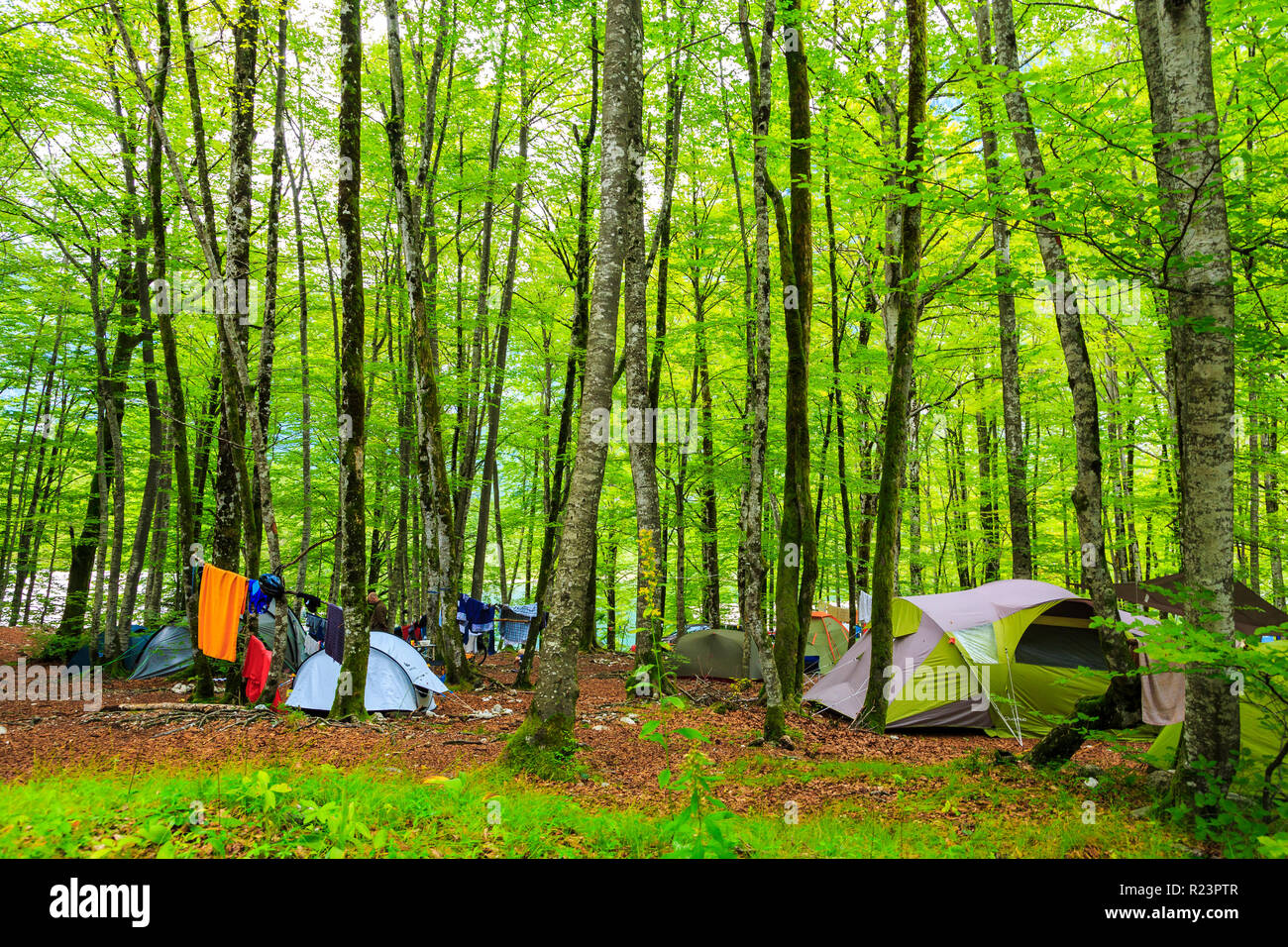 Campsite. Stock Photo