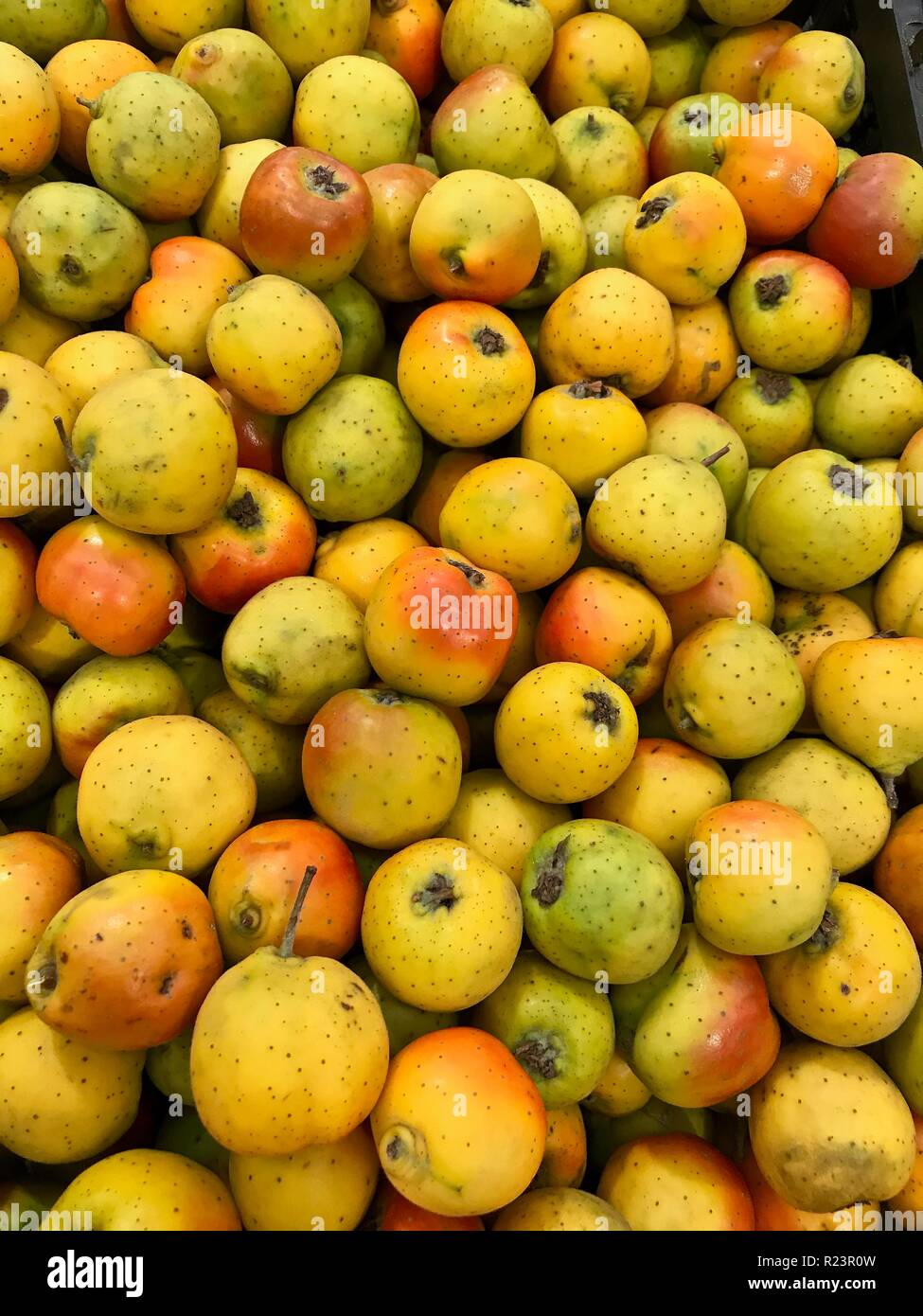 Tejocote, exotic tropical fruits at a Mexican market, called Jocote in