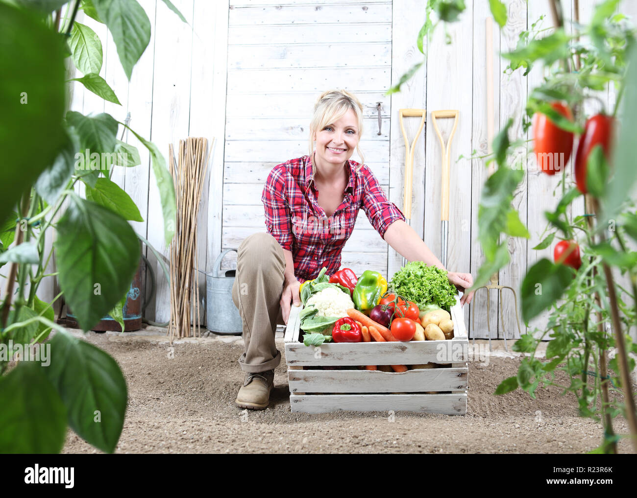 smiling woman in vegetable garden with wooden box full of vegetables on ...
