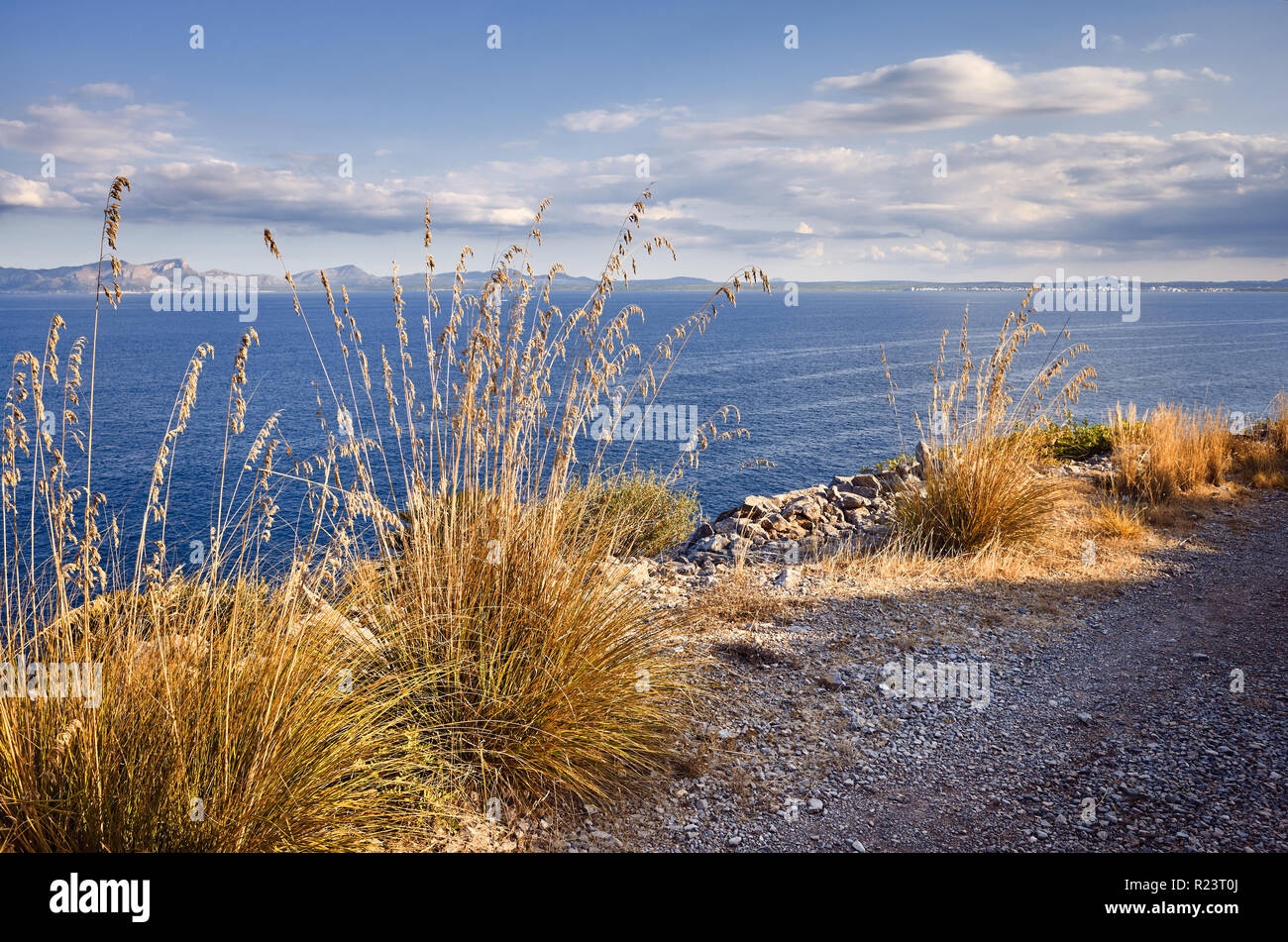 Scenic coastal trail path at sunset, Mallorca, Spain. Stock Photo