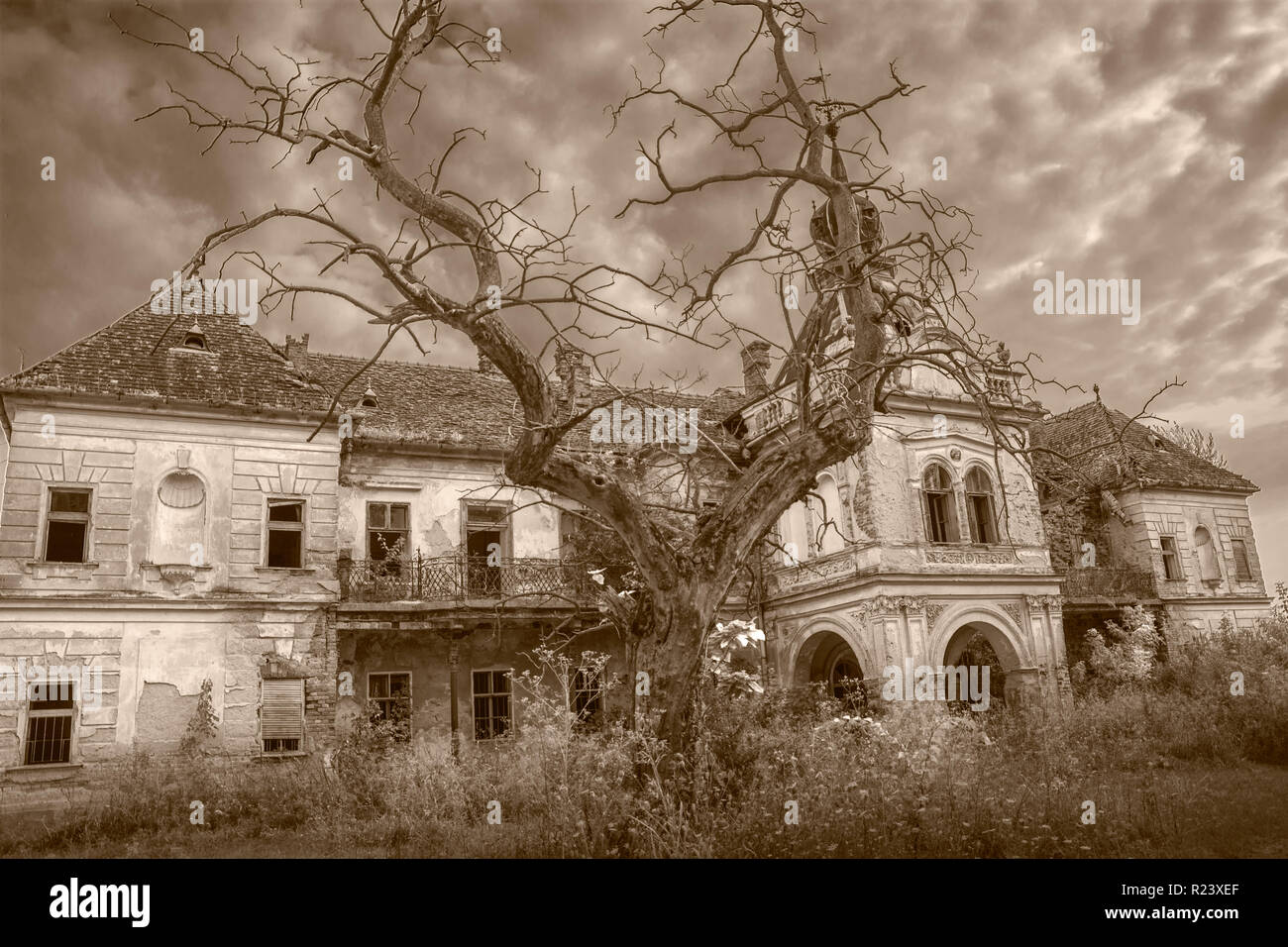 Scary abandoned halloween palace with haunted tree in front Stock Photo