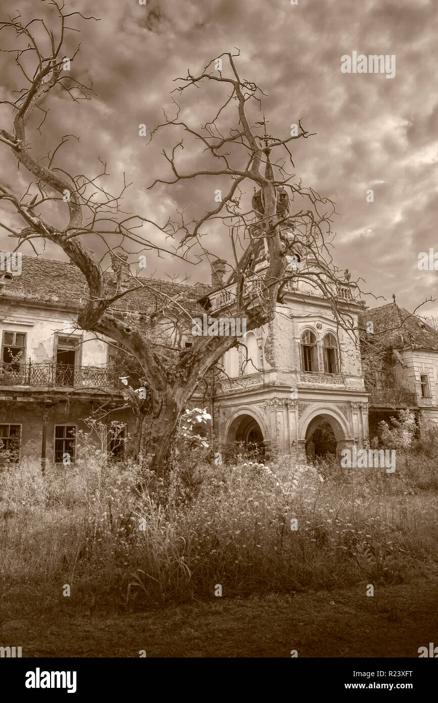 Old scary abandoned ghost palace with haunted tree in front, halloween castle Stock Photo