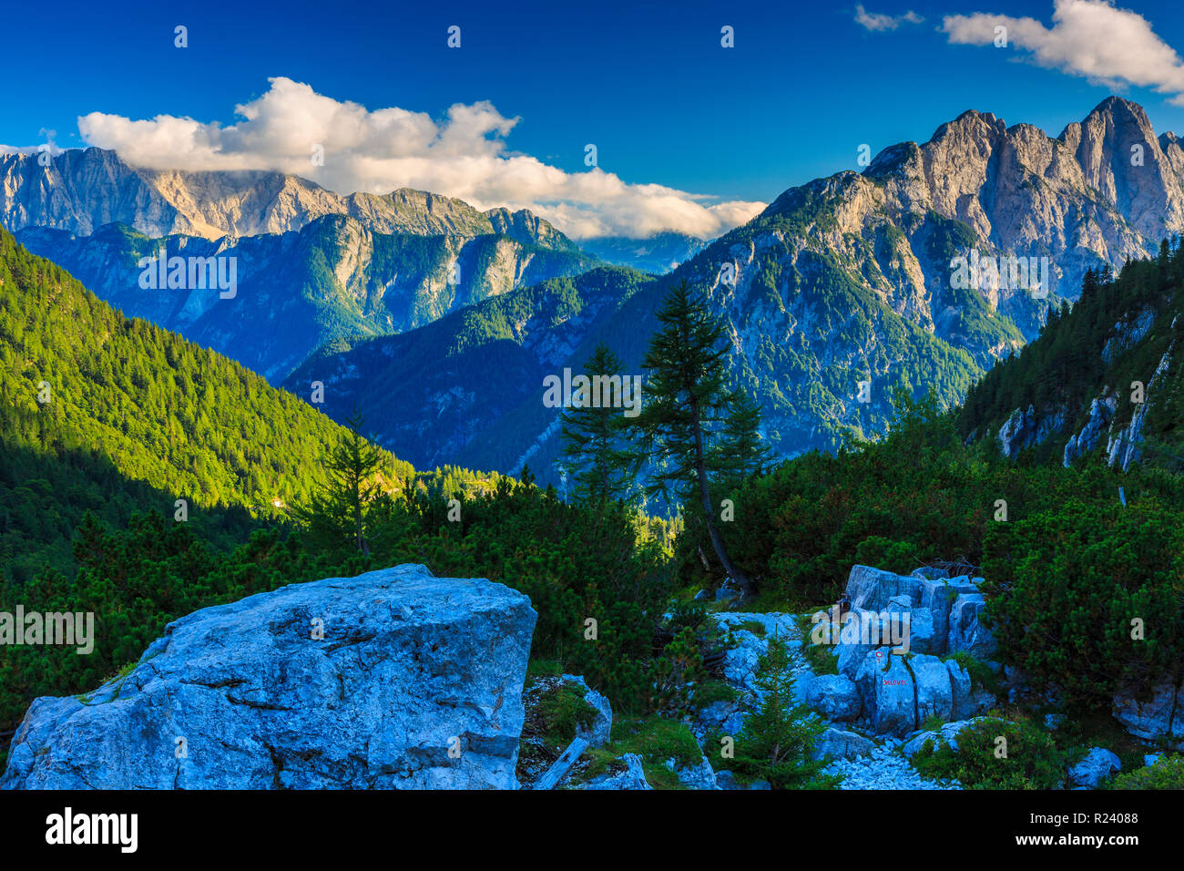 Mountain woodlands hi-res stock photography and images - Alamy