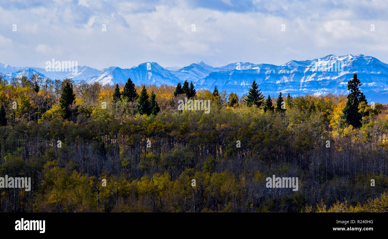 Sandy cross hires stock photography and images Alamy
