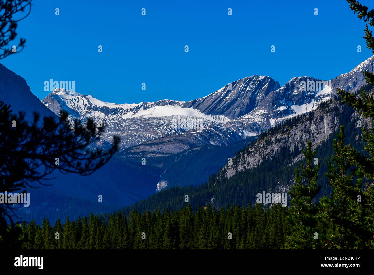 Kananaskis Lake area Stock Photo Alamy