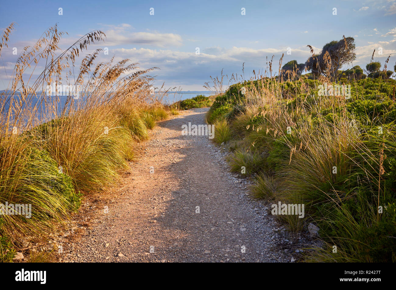 Scenic coastal trail path at sunset, Mallorca, Spain. Stock Photo