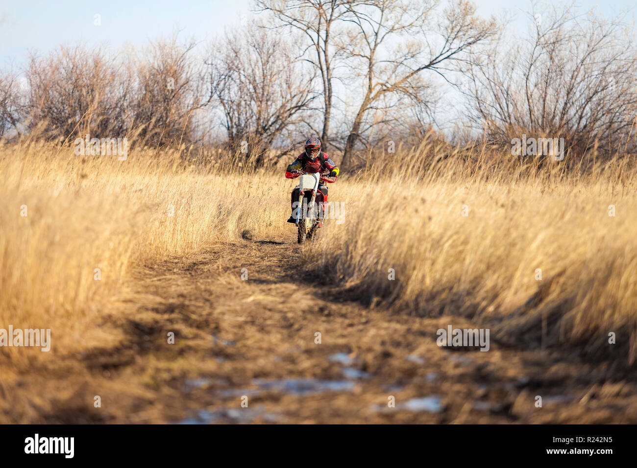 Grass track rider hi-res stock photography and images - Alamy