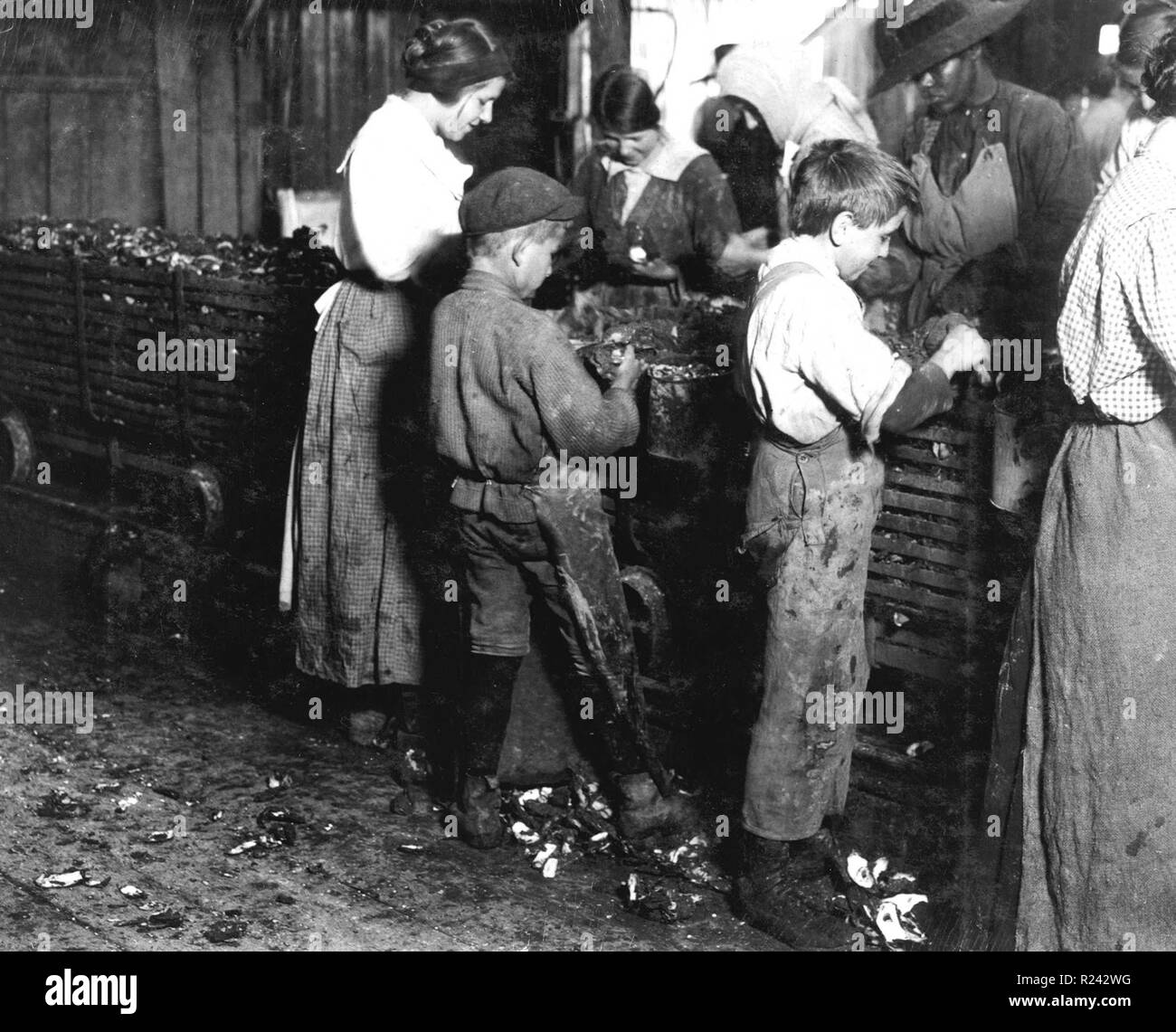 Lewis Hine - 10 year old and 11 year old boys shuck pots. Va. Stock Photo