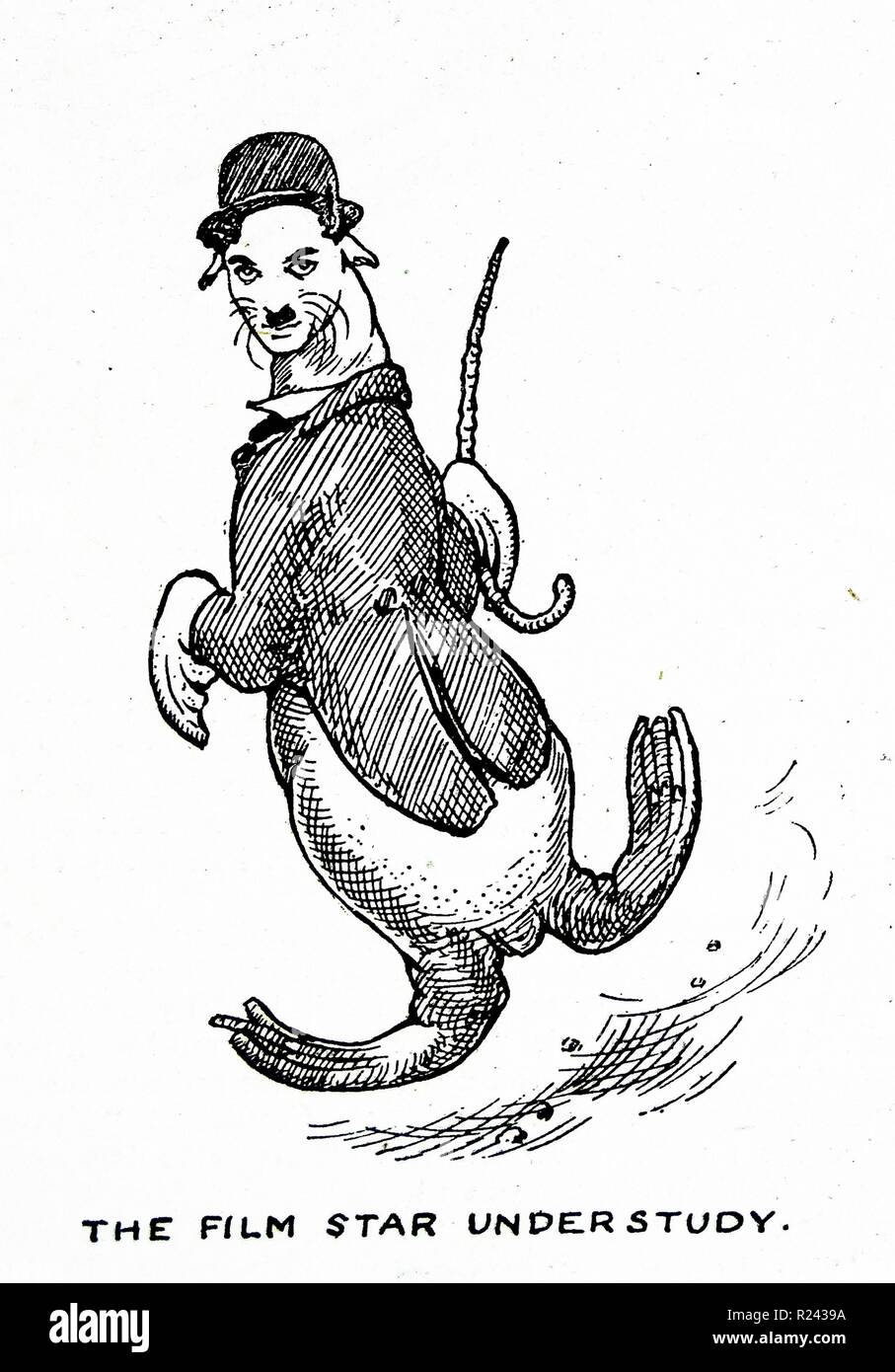 Comic actor Charlie Chaplin; From a series of illustrations depicting a pelican 1900 Stock Photo