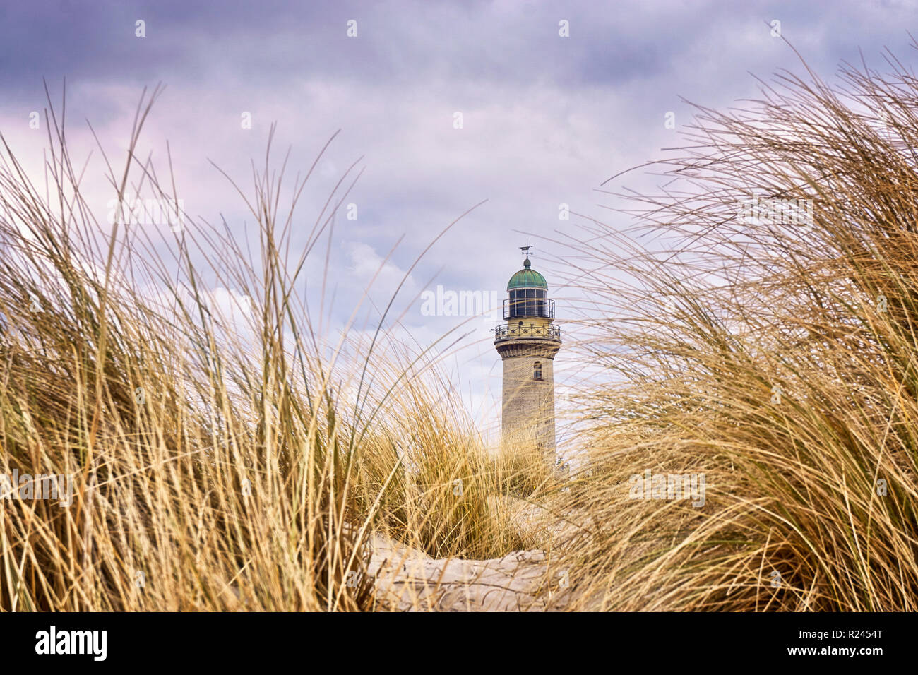 Very close to the dune grass with lighthouse in the background. Warnemünde, Germany Stock Photo