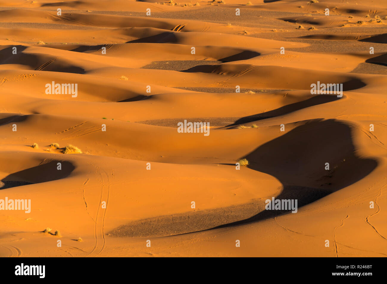 Sand dünen in der Wüste Sahara bei Merzouga, Marokko | sand dunes in ...