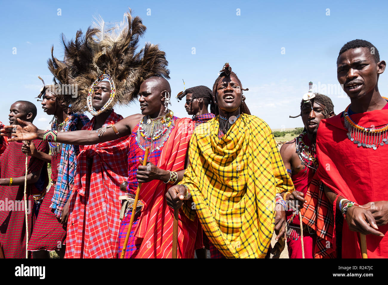 Masai Mara members sing tribal songs to greet guests to their village