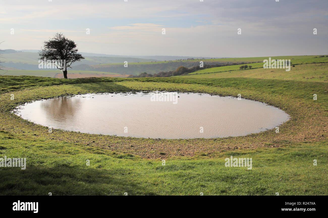 dew pond at ditchling beacon on the south downs way Stock Photo Alamy