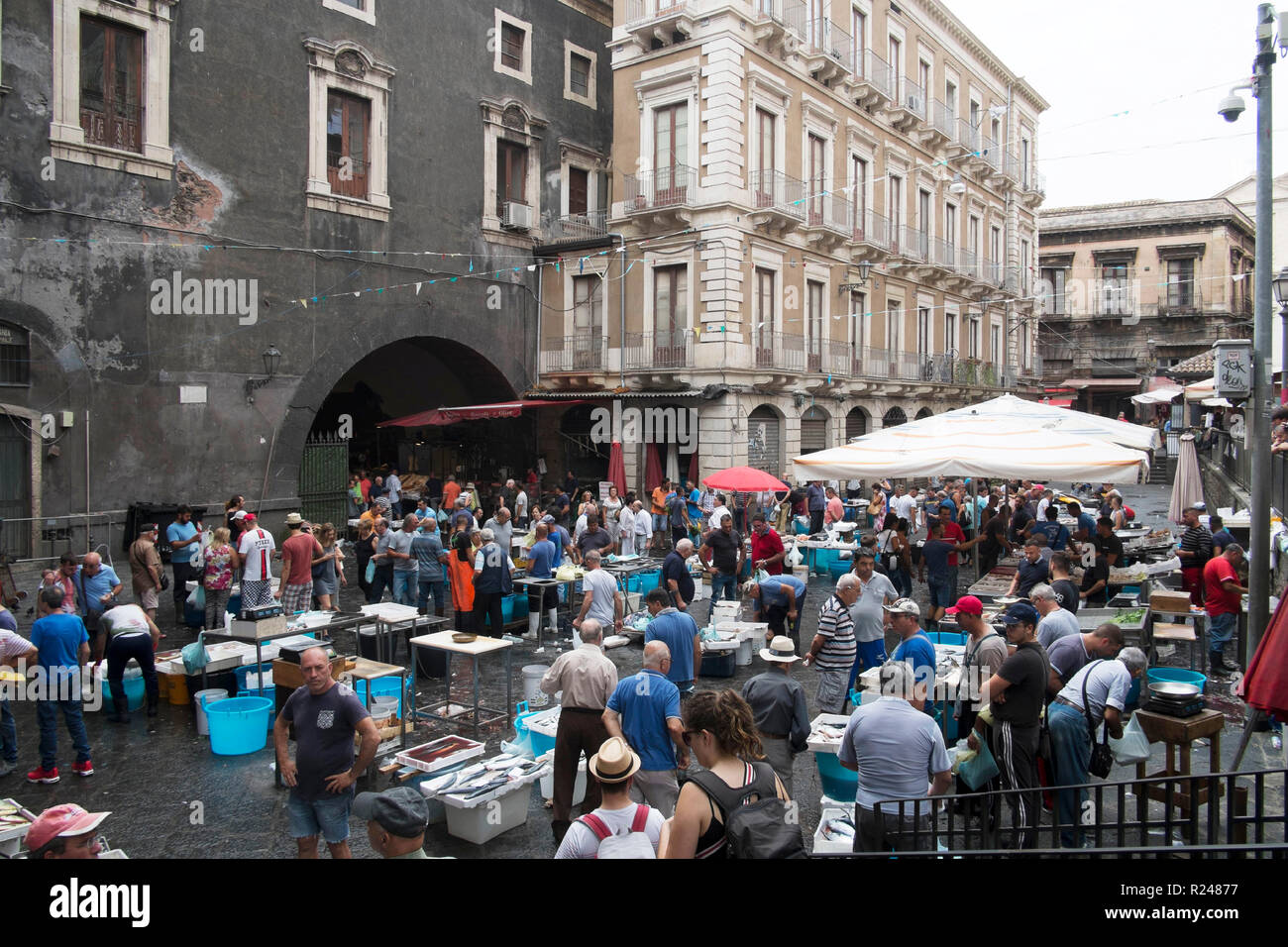 The fish market, Catania, Sicily, Italy, Europe Stock Photo Alamy