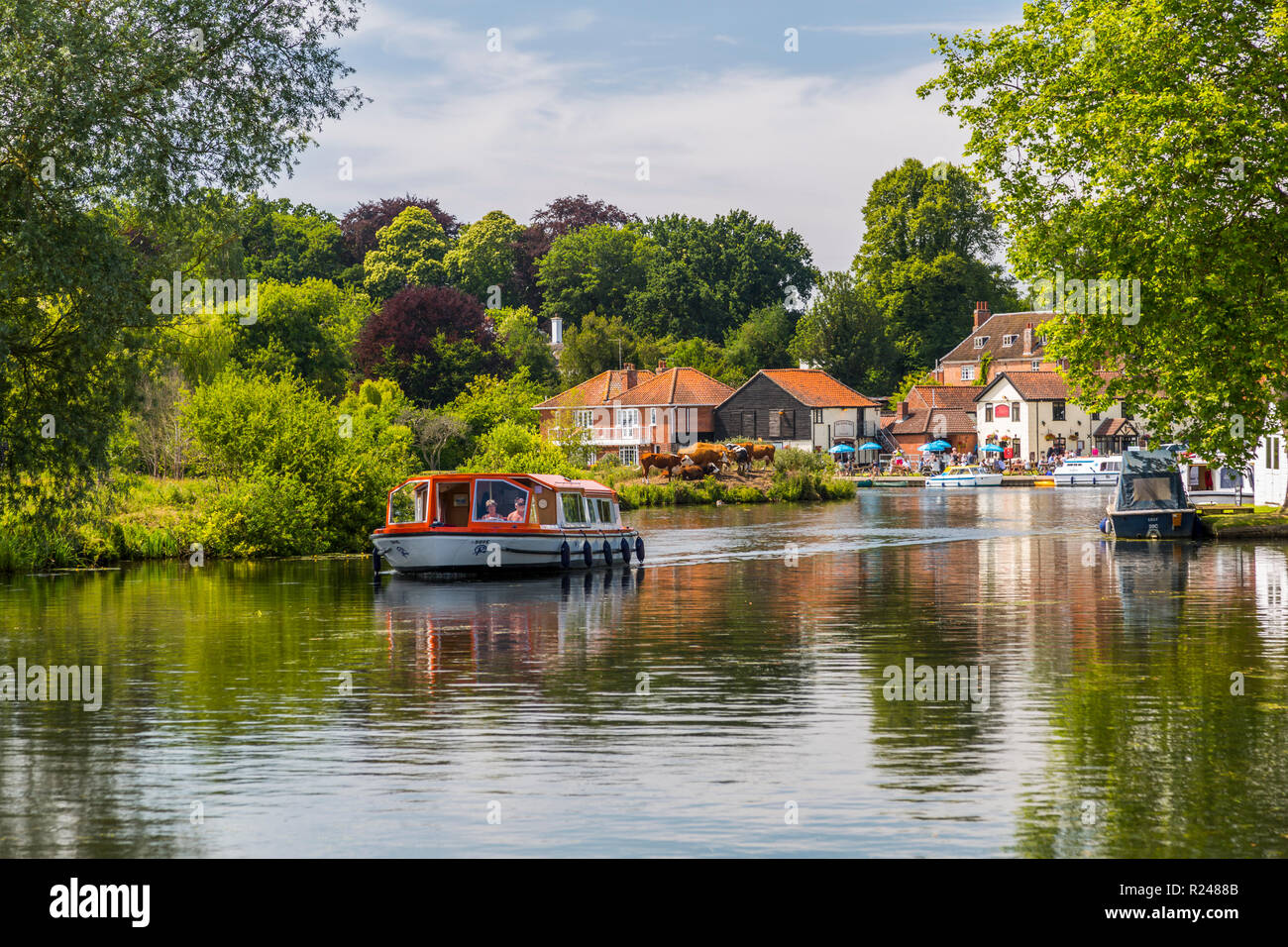 Boats on River Bure at Coltishall, Norfolk Broads, Norfolk, England, United Kingdom, Europe Stock Photo