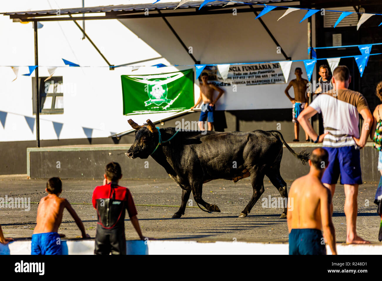 Running of the Bulls in Sao Mateus village on Terceira Island, Azores, Portugal, Atlantic, Europe Stock Photo