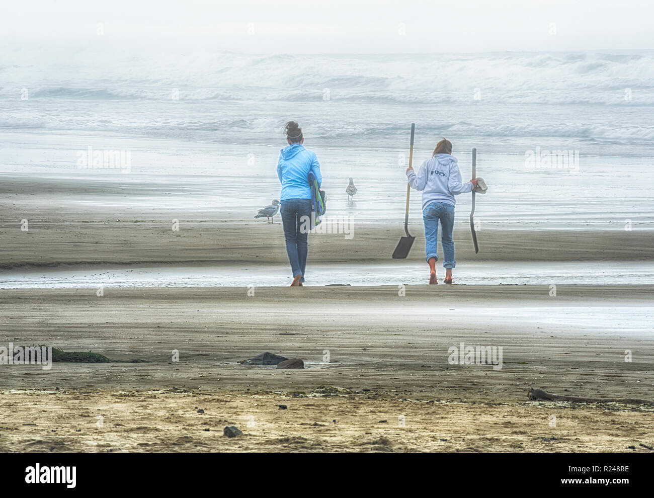 Clam digging oregon hires stock photography and images Alamy