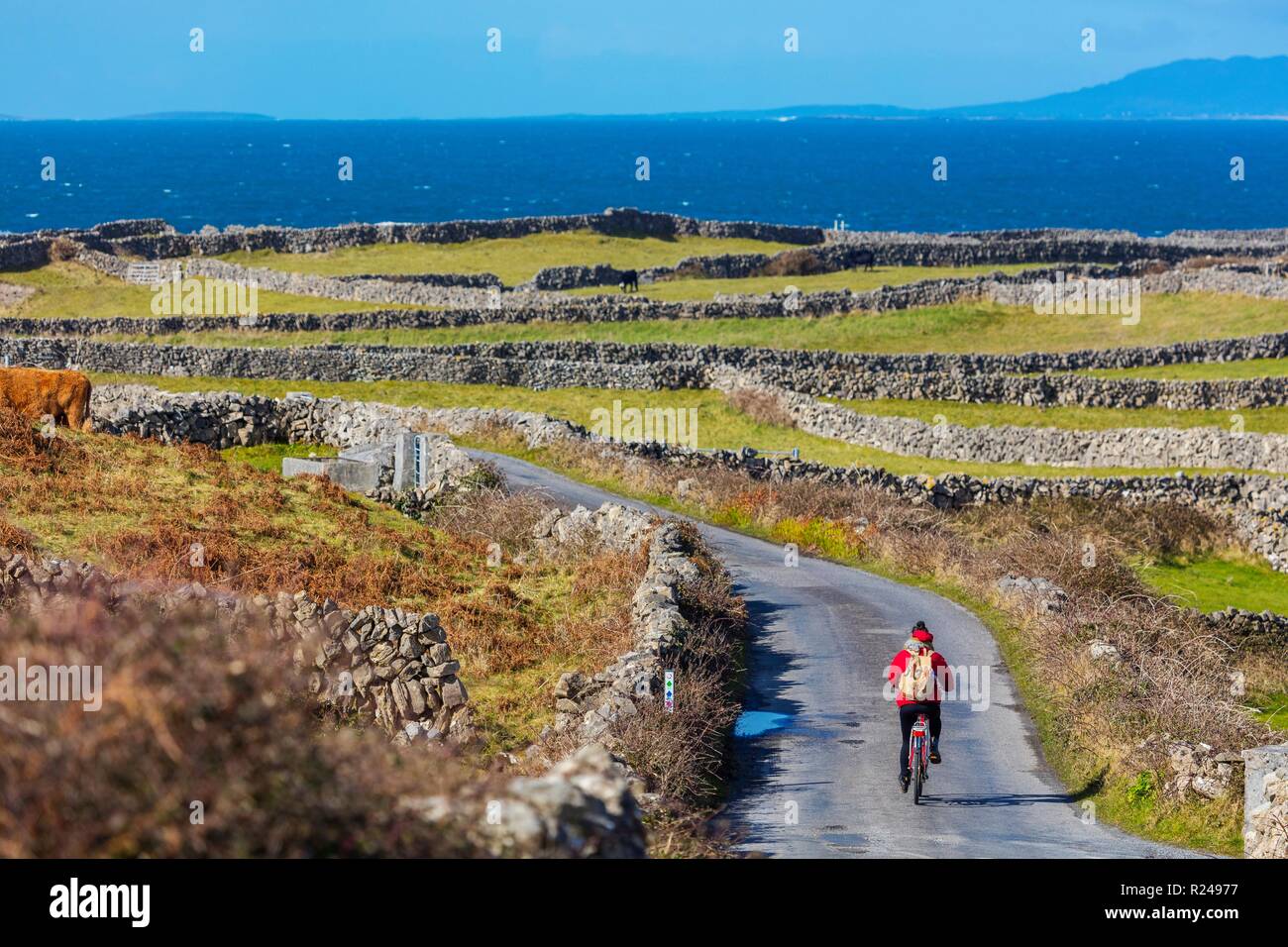 Port Eochla area, Inish More, Aran Islands, Republic of Ireland, Europe Stock Photo