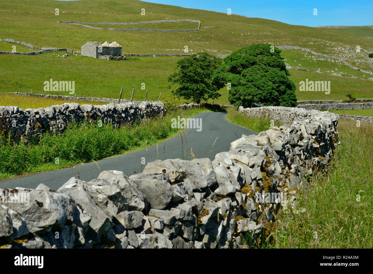 Stone walls lining country road, Ribblesdale Yorkshire Dales National Park, North Yorkshire, England, United Kingdom, Europe Stock Photo