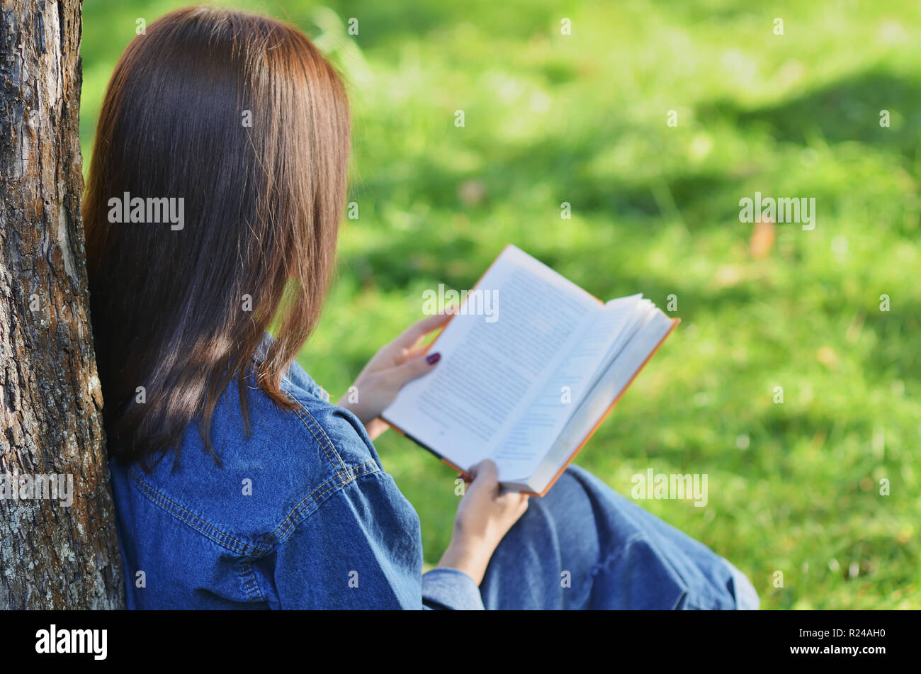 Girl reading a book sitting under a tree hi-res stock photography and ...