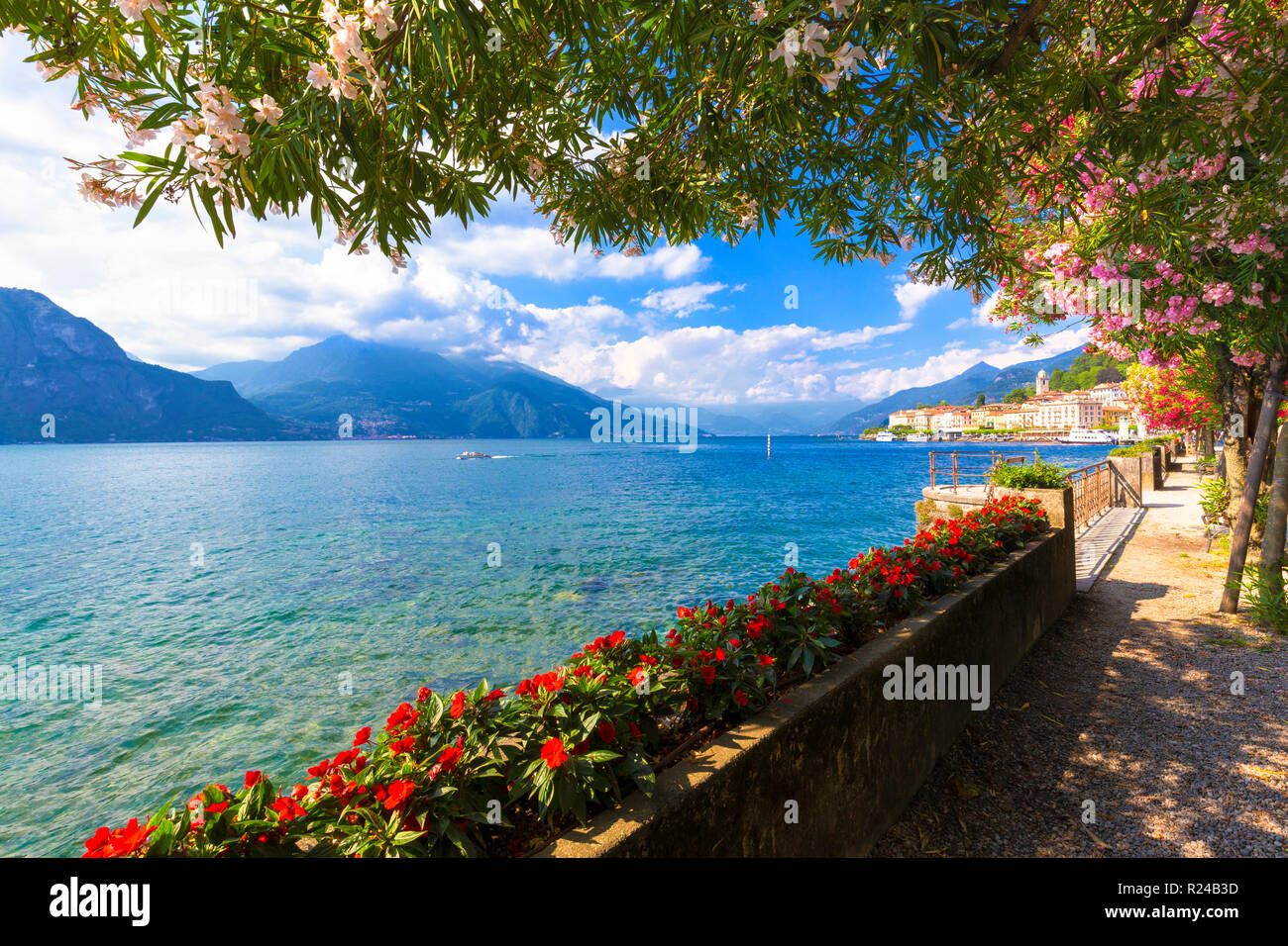Flowers on the lake side of Bellagio, Province of Como, Lake Como, Italian Lakes, Lombardy, Italy, Europe Stock Photo