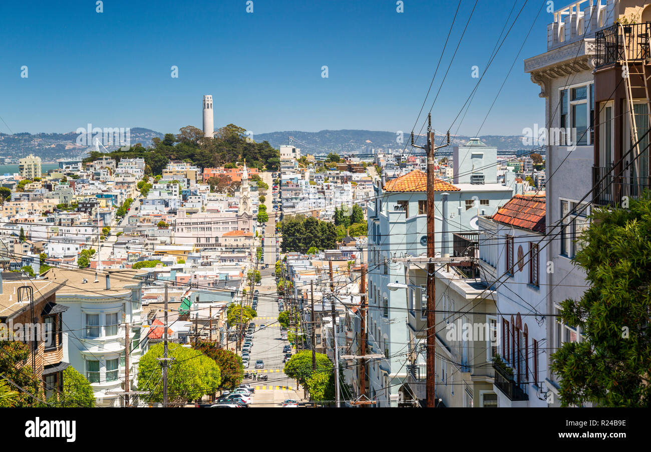 View of Coit Tower from Russian Hill, San Francisco, California, United States of America, North America Stock Photo