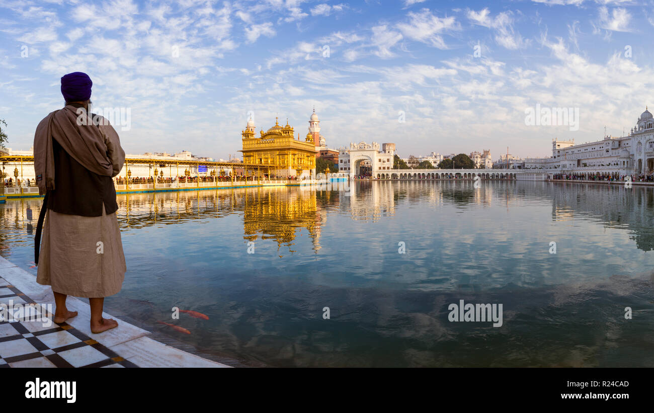 Sikh man at The Golden Temple (Harmandir Sahib) and Amrit Sarovar (Pool of Nectar) (Lake of Nectar), Amritsar, Punjab, India, Asia Stock Photo