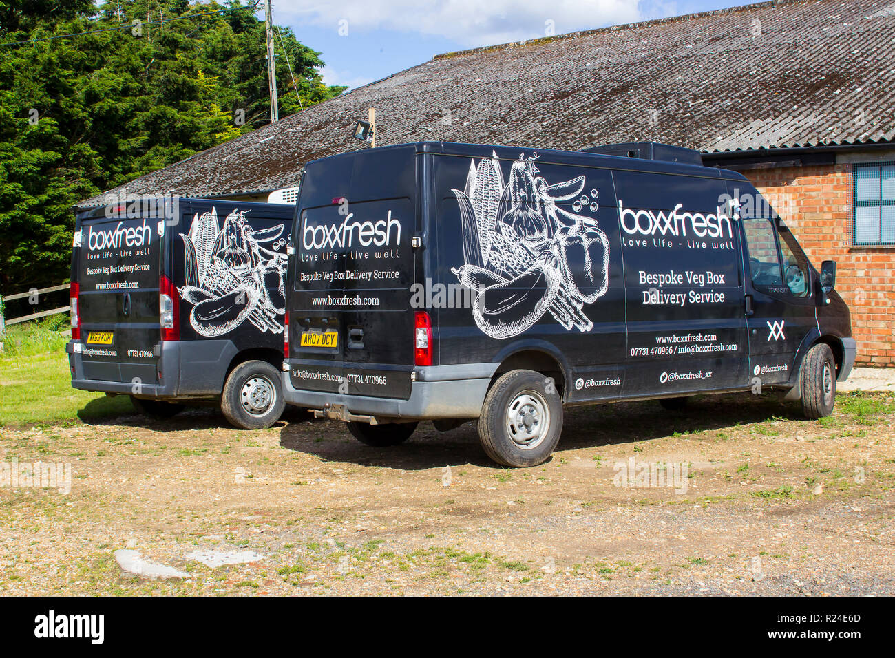 10 June 2017 A pair of Ford transit delivery vans in a small business boxxfresh livery. this company specialises in the supply and delivery of boxed f Stock Photo