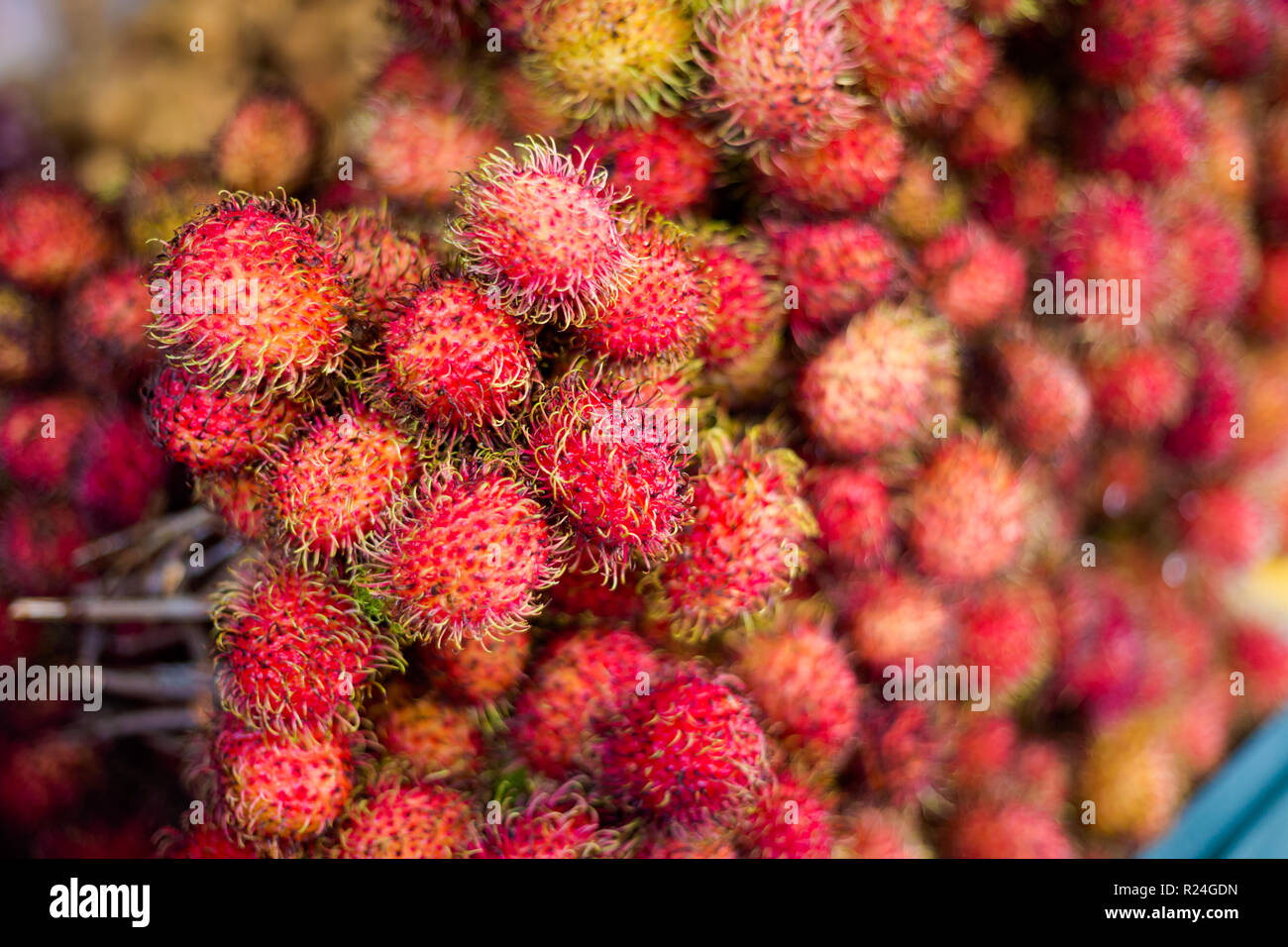 Fresh rambutan fruit bunch on local market in Kuala Lumpur. Traditional