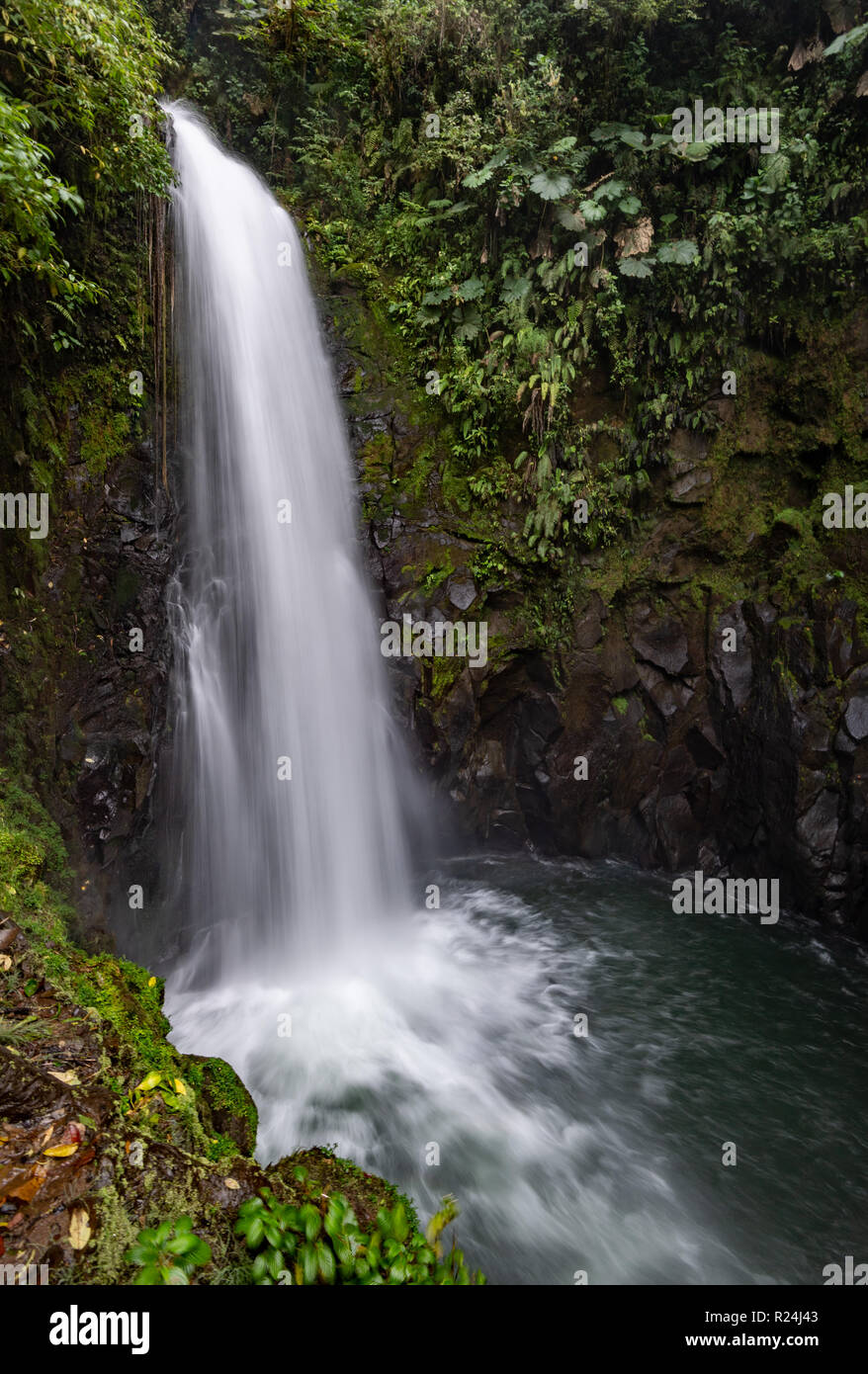 Waterfall in the Rainforest Stock Photo