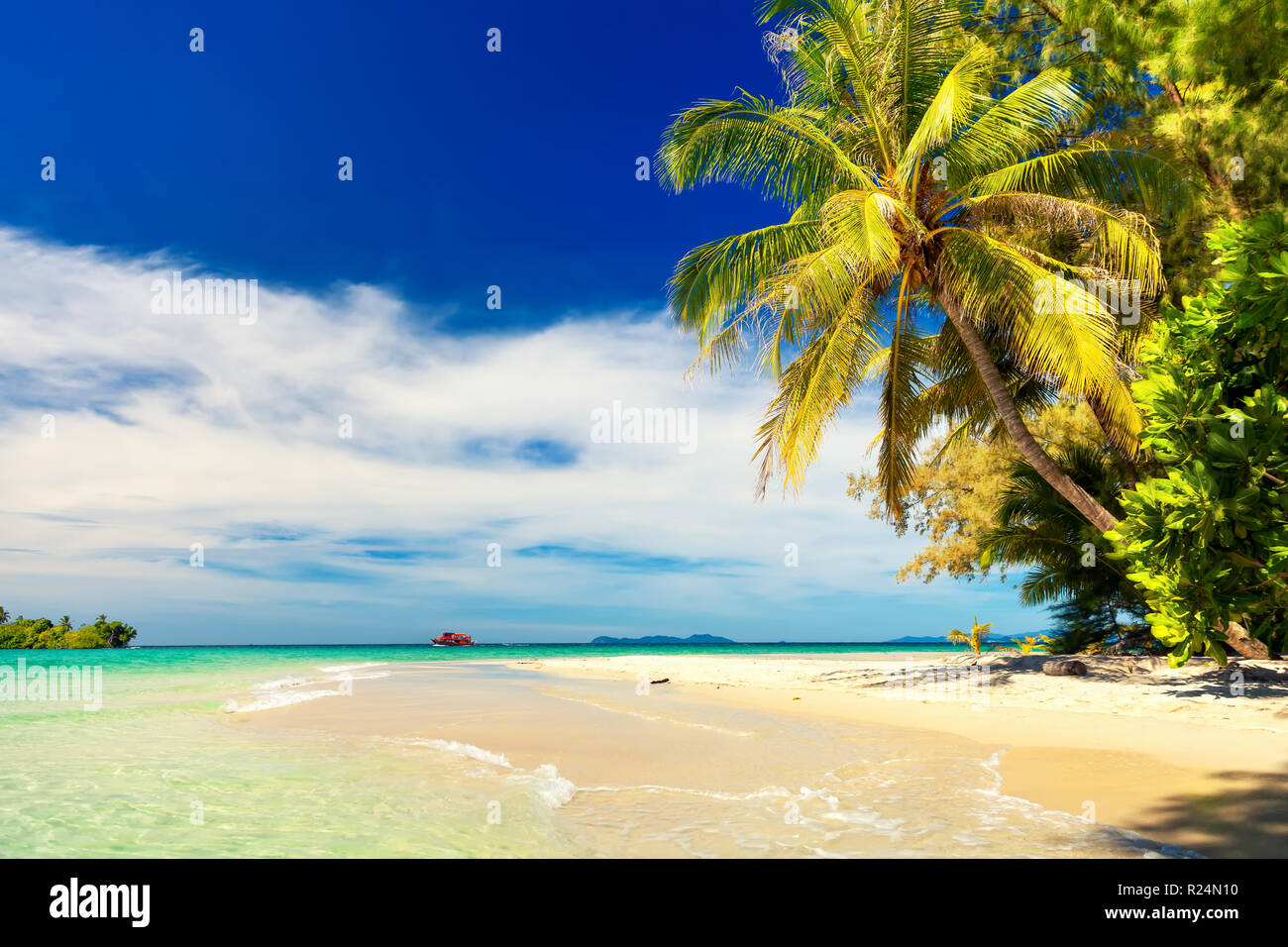 Palm and tropical beach Stock Photo - Alamy