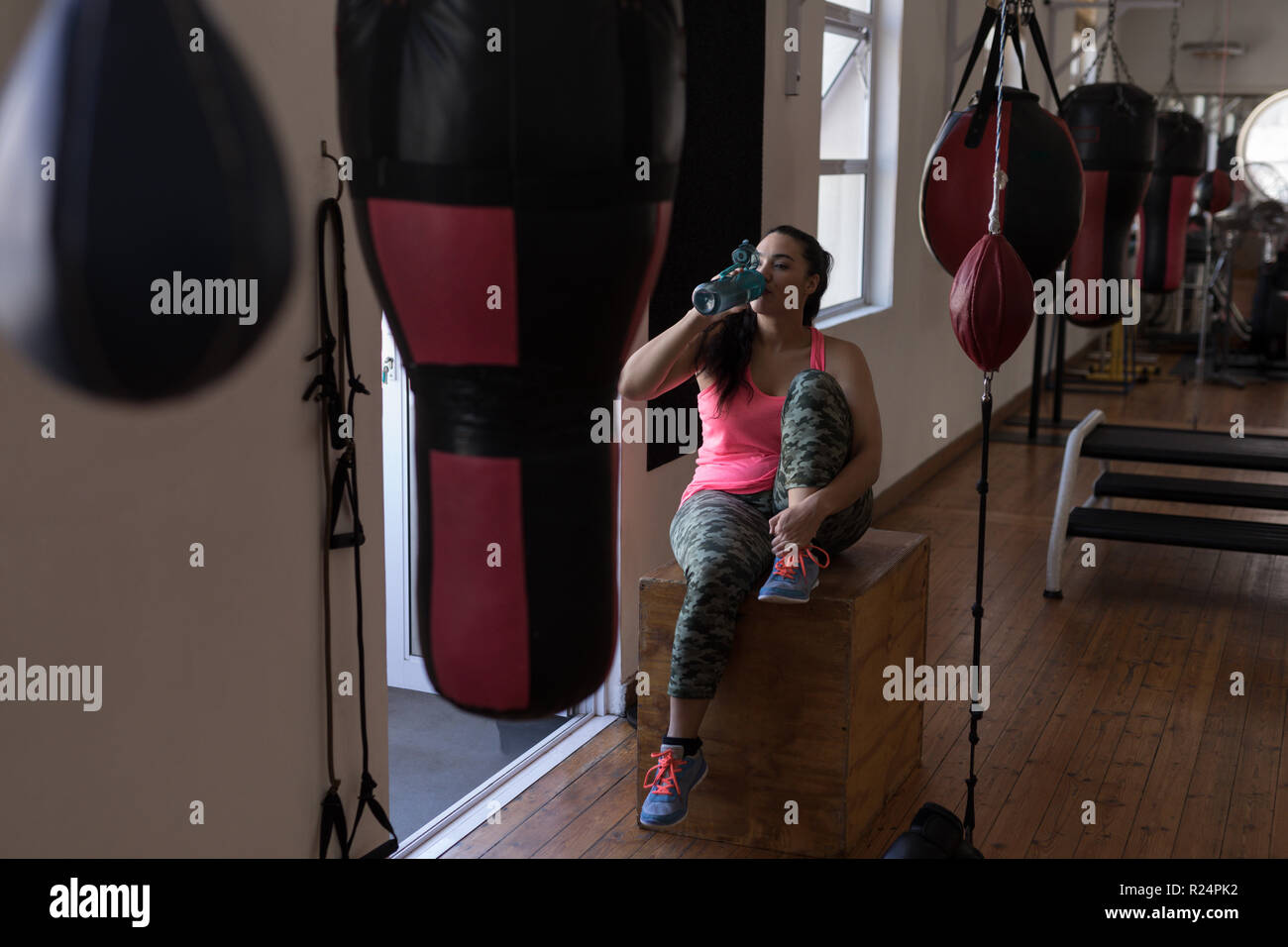 Female boxer having water Stock Photo - Alamy