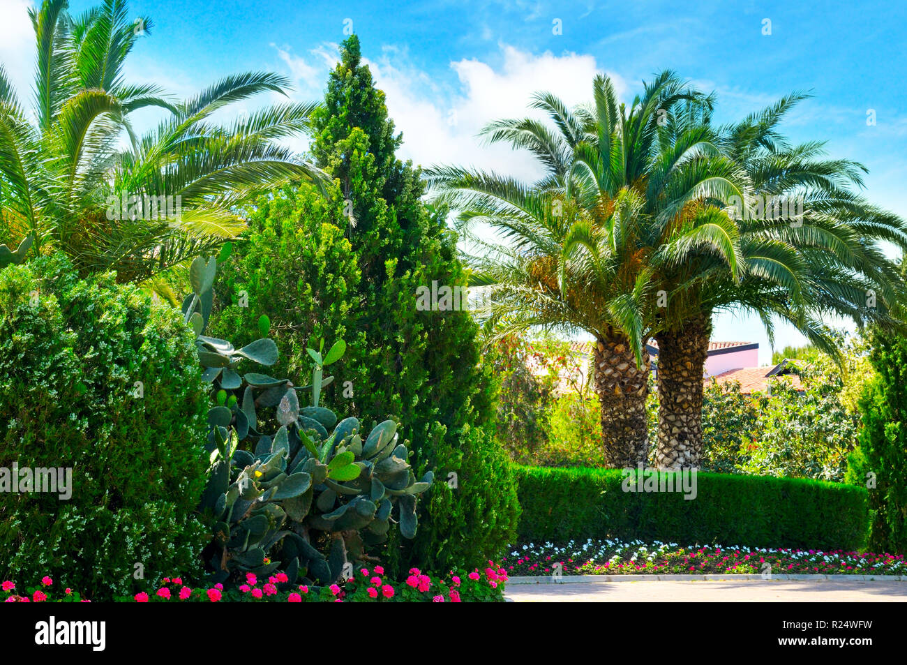 beautiful park with palm trees and evergreen plants Stock Photo - Alamy