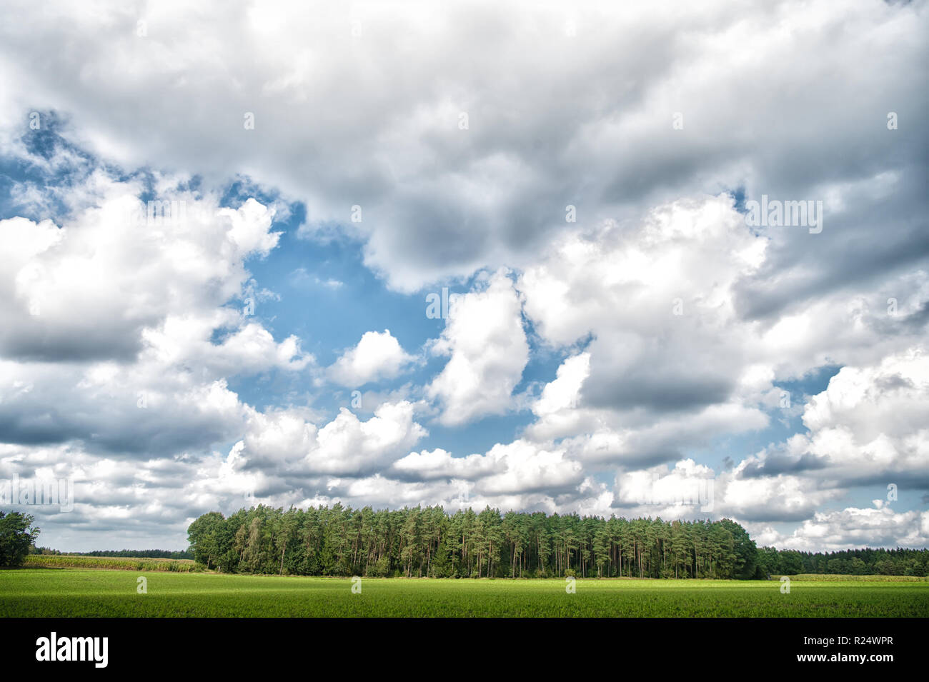 Forest And Green Field Nature Landscape On Cloudy Day Sky With Lot White Clouds Above Forest Trees Nature And Freedom Concept Cloudy Weather Forecast Weather Changes Signs Cloudy Sky And Nature Stock