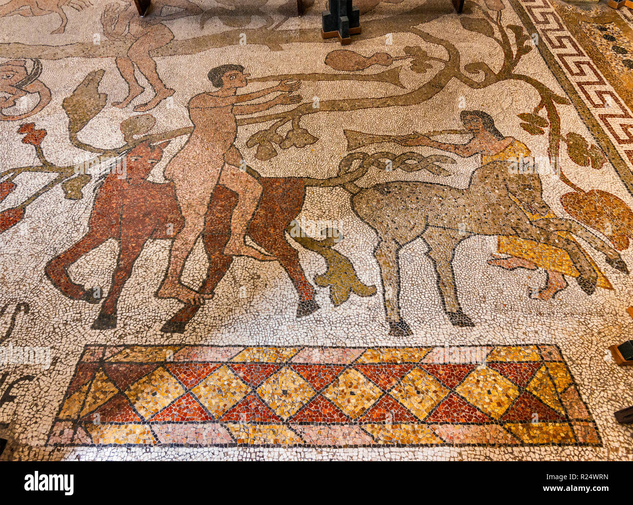 Tree of Life Mosaic, 12th century, on floor at Cathedral, 11th century, in Otranto, Apulia, Italy Stock Photo