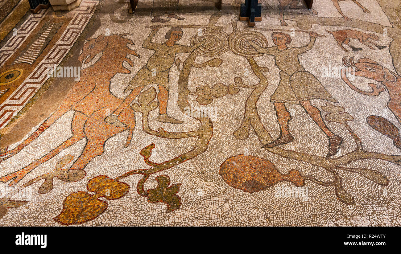 Tree of Life Mosaic, 12th century, on floor at Cathedral, 11th century, in Otranto, Apulia, Italy Stock Photo