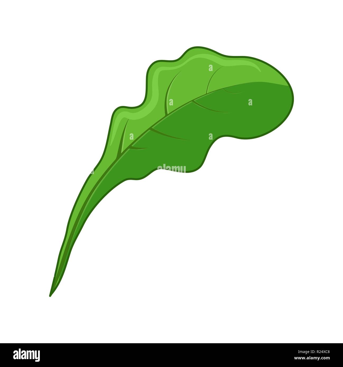 vegetable leaf icon design isolated on white background Stock Vector
