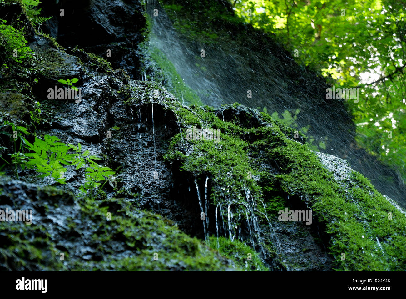 'Lotenbachklamm' near the Wutachtal Gorge in the Black Forest Stock Photo
