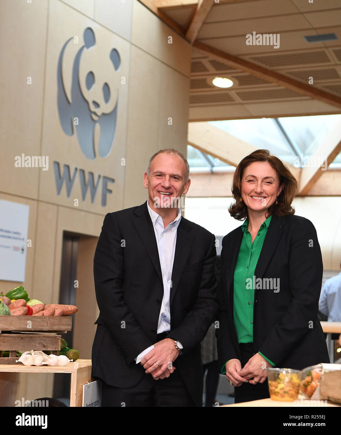 Woking, United Kingdom. 16th Nov 2018. Tesco and WWF new partnership. Dave Lewis, Tesco Group CEO and Tanya Steele, WWF UK CEO at the WWF UK HQ in Woking. Tesco and WWF today announced a ground-breaking, long-term partnership with the aim of reducing the environmental impact of the average UK shopping basket by 50%, improving the sustainability of food while ensuring it remains affordable for all..Picture by Andrew Parsons / Parsons Media Credit: andrew parsons/Alamy Live News Stock Photo