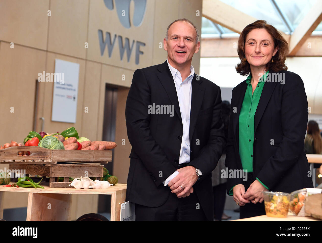 Woking, United Kingdom. 16th Nov 2018. Tesco and WWF new partnership. Dave Lewis, Tesco Group CEO and Tanya Steele, WWF UK CEO at the WWF UK HQ in Woking. Tesco and WWF today announced a ground-breaking, long-term partnership with the aim of reducing the environmental impact of the average UK shopping basket by 50%, improving the sustainability of food while ensuring it remains affordable for all..Picture by Andrew Parsons / Parsons Media Credit: andrew parsons/Alamy Live News Stock Photo